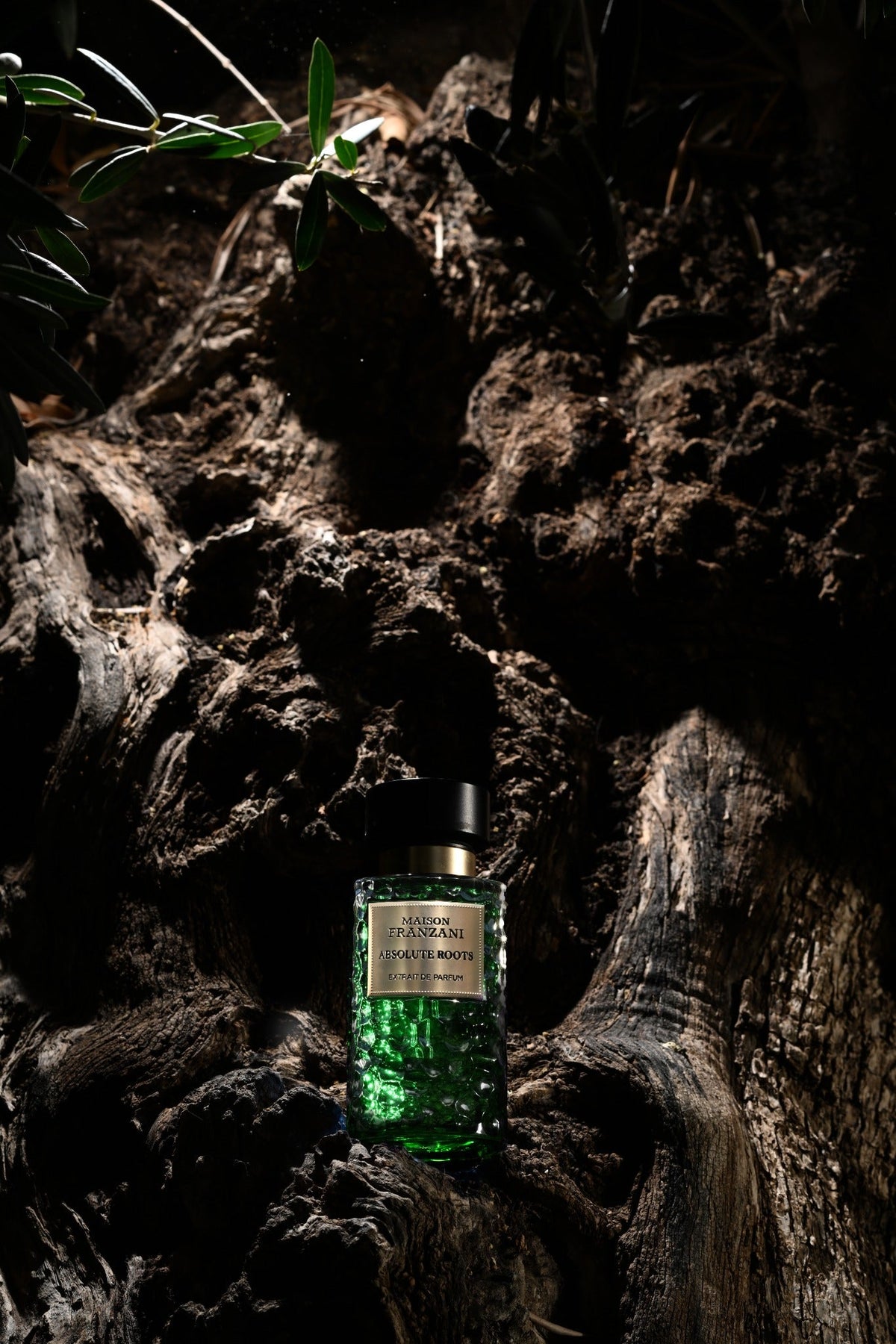 MAISON FRANZANI EARTH Absolute Roots Extrait de Parfum – grüner Flakon auf verwittertem Holz